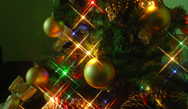 City of Bridgeport’s 2016 Christmas Tree Lighting